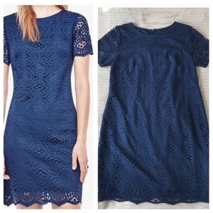 Ann Taylor Mosaic Lace Short Sleeve Shift Dress